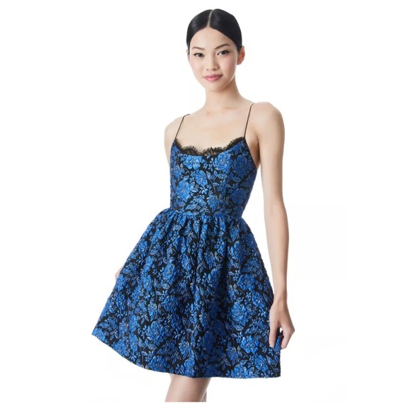 ALICE + OLIVIA Kendra Floral Mini Dress - Picture 8 of 15